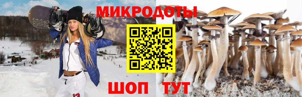 Псилоцибиновые грибы GOLDEN TEACHER Владимир